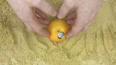 Moderately Engaging Post-conceptual Performance Art